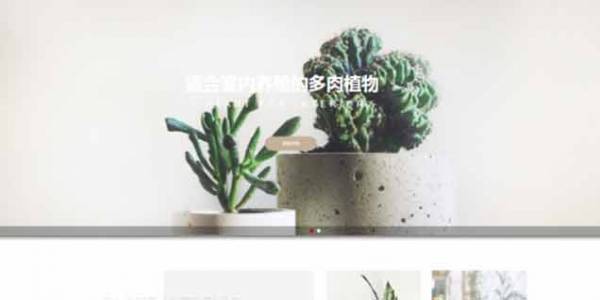 如何開發(fā)公司網(wǎng)站制作Web 前端？