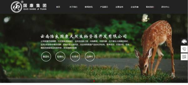 企業(yè)網站建設對該網站中不同欄目的具體分類