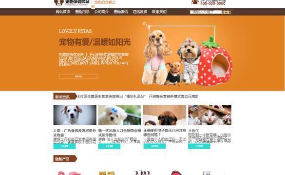 企業(yè)網(wǎng)站建設(shè)，網(wǎng)頁(yè)轉(zhuǎn)換系統(tǒng)的信息