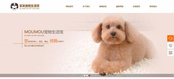 企業(yè)網(wǎng)站建設(shè)，插畫形象當(dāng)作網(wǎng)站中主體