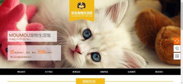 公司網(wǎng)站制作，云端訪(fǎng)問(wèn)利用功能